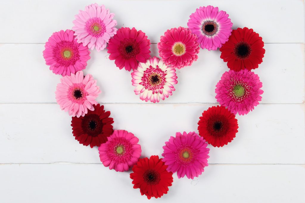 gerbera_inspiratie_09