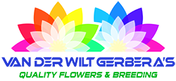 Van der Wilt Gerbera's Logo