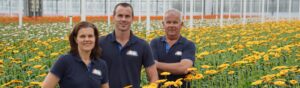 Nieuws Van der Wilt Gerbera's