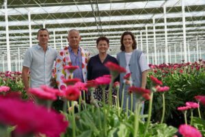 Afscheid Van der Wilt Gerbera's